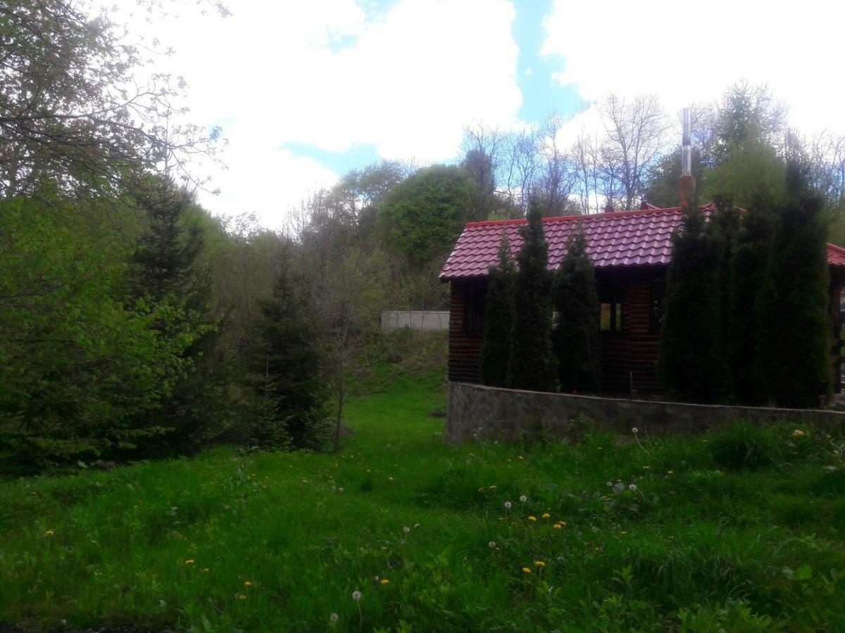 Casa Daos Hotel Nucşoara Екстериор снимка